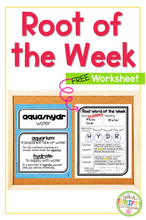 Morphology Bulletin Board, Morphology Notebook, Week Routine, Root Words Activities, Expand Vocabulary, Reading Response Activities, Word Origins, Multisyllabic Words, Vocabulary Instruction