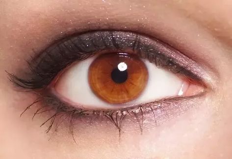 What's the difference between amber, light brown and hazel eyes? - Quora Eye Types, Prettiest Eyes, Light Brown Eyes, Brown Eyes Aesthetic, Soulful Eyes, Change Your Eye Color, Eyes Aesthetic, Wedding Makeup For Brown Eyes, Amber Light