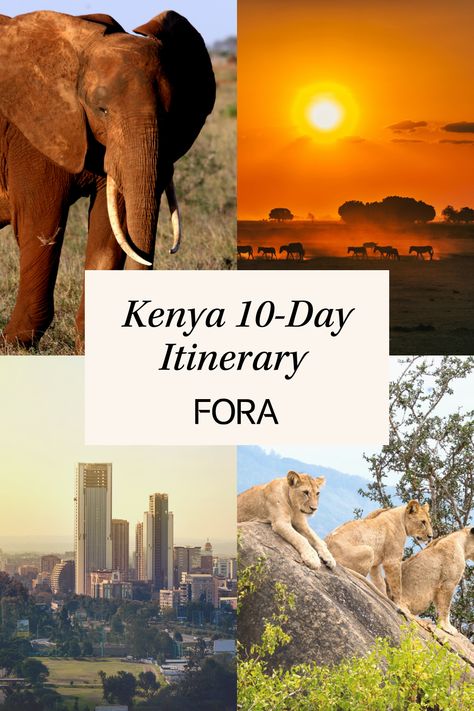 Explore the best that Kenya has to offer with this ultimate 10-day itinerary. This guide will help you soak in stunning views of abundant wildlife, like elephants and giraffes, while also giving you all the tips on Kenya's best landscape backdrops. Find out how to pay the same (no, really!) and get WAY more for your budget when you have a Fora advisor plan your weekend trip to Kenya at foratravel.com. Kenya Itinerary, Travel Agent Career, Clear Beaches, Africa Travel Guide, Best Landscape, Kenya Travel, Sea Resort, Us Travel Destinations, Dream Travel Destinations