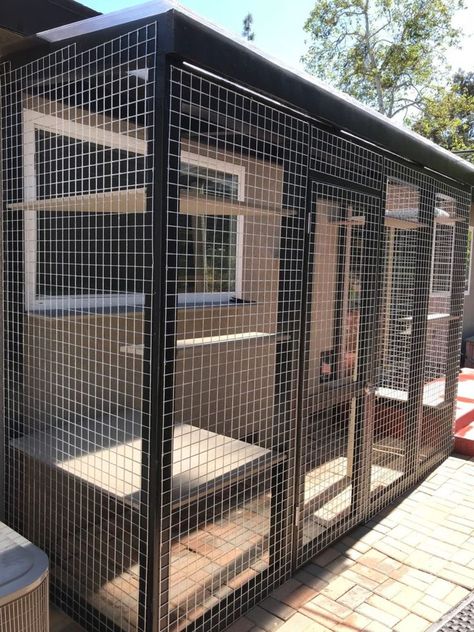 Catio Ideas, Diy Cat Enclosure, Cat Fence, Cat Patio, Cat Kennel, Landscaping Backyard, Cat Cage, Outdoor Cat Enclosure, Cat House Diy