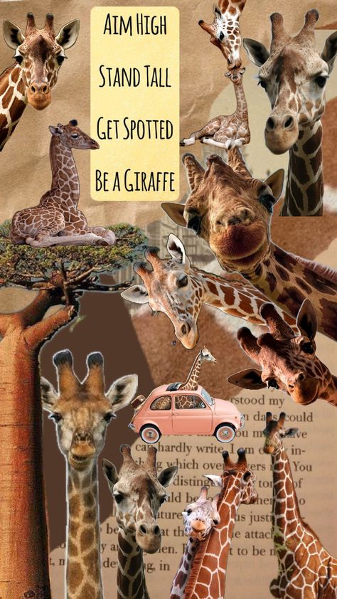 Giraffe Aesthetic, Giraffes, Stand Tall, Create Collage, Creative Play, Aesthetic Wallpapers, Cute Animals, Collage, Drawings