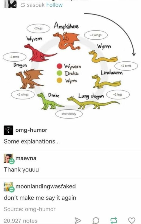 Difference Between Dragons And Wyverns, Long Dragon Reference, Dragon Differences, Different Kinds Of Dragons, Types Of Dragons Chart, Abraxos Wyvern Drawing, Terraria Character Ideas, Dragon Classification, Wyvern Reference