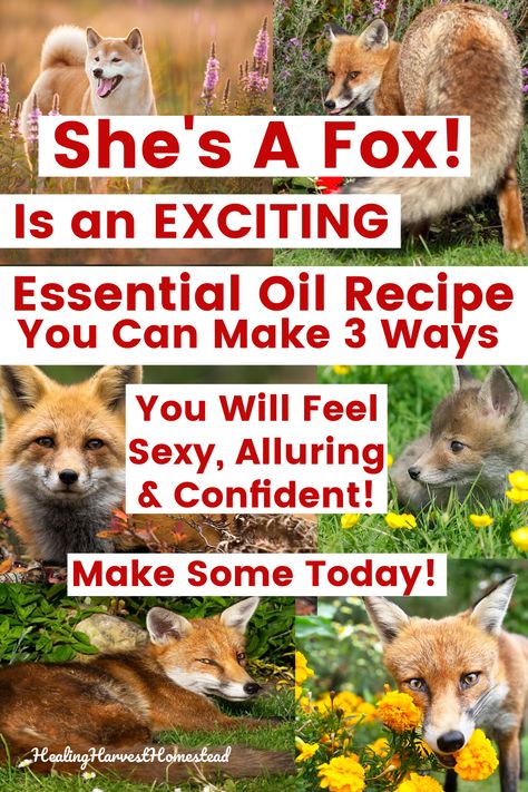 Learn how to make your own natural essential oil perfume three different ways: Roll-on, Spray, and Solid Perfume. PLUS my most popular aromatherapy blend, She’s a Fox. You will feel sexy, confident, and alluring. It’s simple and easy. #natural #perfume #essentialoil #recipe #blend #sexy #valentinesday #gift #diy #easy #fast #Valentines #healingharvesthomestead How To Make Pheromone Perfume, Pheromone Perfume Diy, Natural Perfume Recipes, Diy Perfume Oil, Perfume With Essential Oils, Essential Oil Aphrodisiac, Essential Oil Perfume Blends, Magick Oil, Spicy Perfume