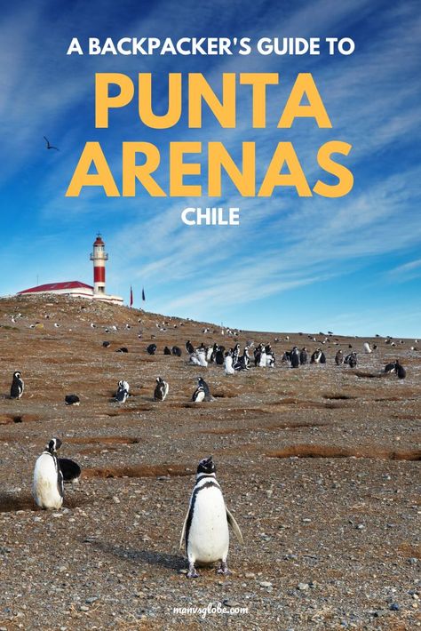 South America Travel Itinerary, Budget Guide, Latin America Travel, Backpacking South America, South America Destinations, Patagonia Chile, Punta Arenas, Chile Travel, Central America Travel