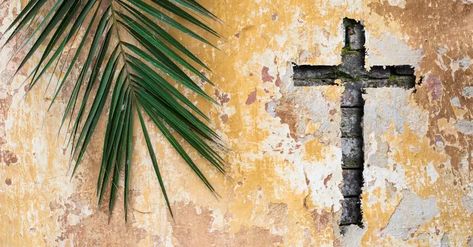 7 Palm Sunday Facts Everyone Should Know by Meg Bucher Palm Sunday Quotes, Catholic Traditions, Hosanna In The Highest, Happy Holy, Sunday Messages, Book Of Matthew, Holy Saturday, Sunday Sermons, Son Of David