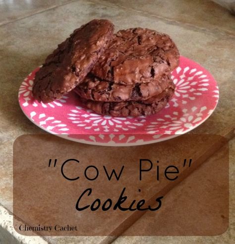 Cow Pie Cookies, Preacher Cookies, Cow Patties, Cow Pies, Chocolate Cow, Cow Cookies, Cookie Dough Truffles, Cowboy Cookies, Pie Cookies