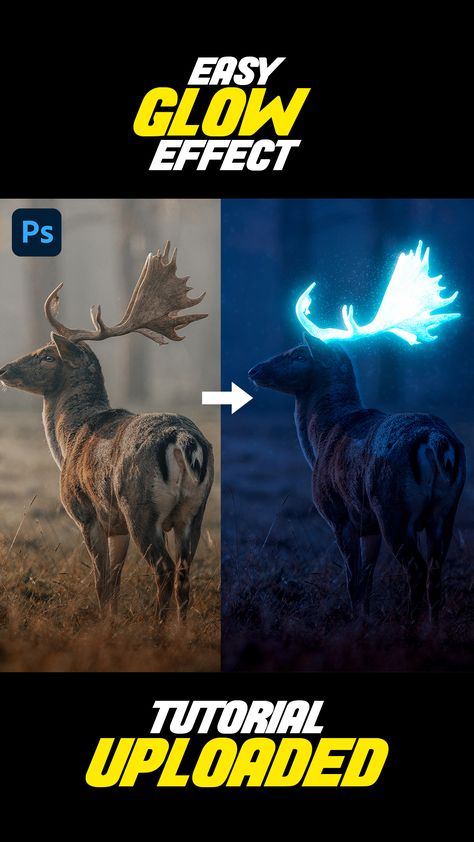 CLick on the link to watch this tutorial Photoshop Glow Effect Tutorials, Photo Manipulate, Photoshop Glow, Photoshop Lessons, Photoshop Tuts, Ux App Design, Glowing Effect, Adobe Tutorials, Photoshop Design Ideas