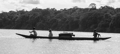 Embrace of the Serpent / El abrazo de la serpiente (2015) - Ciro Guerra Embrace Of The Serpent, Roy Andersson, Tv Advertising, The Serpent, Thriller Movies, The New Wave, The Embrace, New Star Wars, Foreign Languages