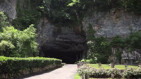 Erwin Tennessee, Utopian Society, Cave Photos, Dickson Tennessee, Tennessee Travel, Spring Nature, Music City, Natural Wonders, See Picture