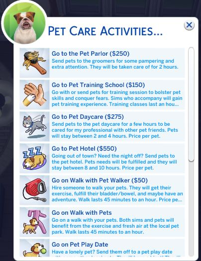 More Pet Care Activities | adeepindigo on Patreon Sims 4 Pet Traits, Sims 4 Cc Patreon Pets, Sims 4 Patreon Mods Gameplay, Sims 4 Pet Cc Patreon, Sims 4 Cc Pet Stuff, Sims 4 Pet Cc, Patreon Sims 4, Sims 4 Pets Mod, Sims4 Mod