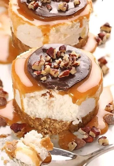 Turtle Cheesecake Recipes, Mini Turtle, Biscuits Graham, Turtle Cheesecake, Mini Cheesecake Recipes, Cheesecake Desserts, Mini Cheesecakes, Homemade Caramel, Best Recipe