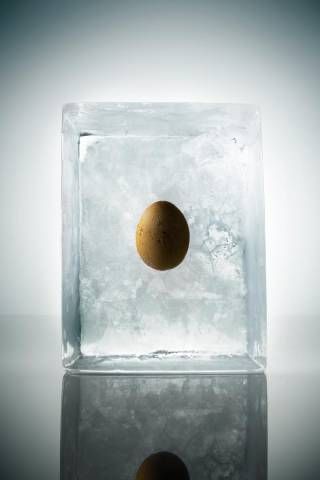 Find out the latest info on freezing your eggs. #health #fertility Egg Freezing Fertility, Egg Freezing, Freezing Eggs, Fertility Health, Ice Blocks, Health Questions, Clear Ice, Head Scarf Styles, Ice Ice Baby