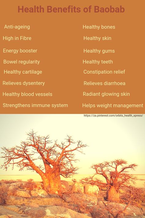 Boabab Tree Benefits, Benefits Of Baobab Powder, Baobab Powder Benefits, Baobab Benefits, Herbal Wellness, Ayurveda Medicine, Baobab Fruit, Magical Trees, Green Fruits And Vegetables