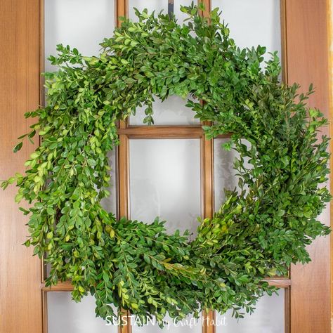 Gather some fresh boxwood clippings to make this simple and green boxwood wreath. Wreaths On Windows Indoors, Wreaths On Windows, Boxwood Wreath Front Door, Boxwood Bush, Driftwood Wreath, Pine Cone Christmas Tree, Window Wreath, Seashell Wreath, Diy Pinecone