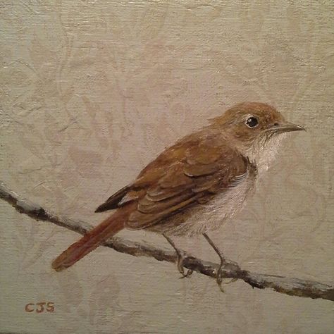 Nightingale Painting, Paint Birds, Gimlet, Nightingale, Canvas Board, Birds Painting, Acrylic On Canvas, Art Projects, Acrylic Painting