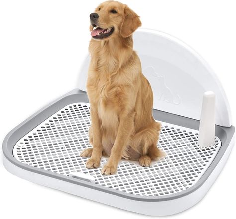 Indoor Dog Potty, Dog Litter Box, Potty Toilet, Pet Training Pads, Dog Toilet, Dog Potty Training, Dog Box, Dog Potty, Dog Area