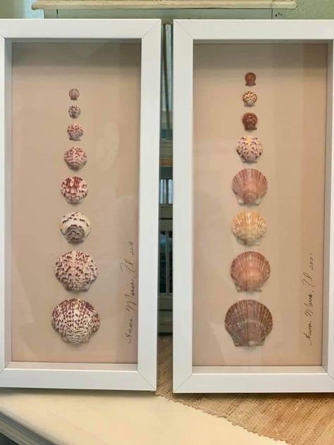 Scallop Shell Craft, Painting Ideas 2023, Seashell Artwork, Easy Abstract Art, Seashell Display, Seashell Art Diy, Easy Acrylic Painting Ideas, Sea Shells Diy, Shell Display