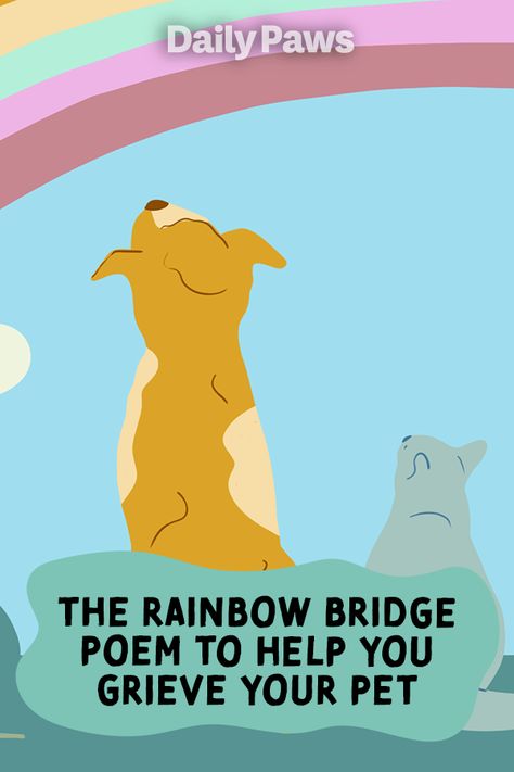 The rainbow bridge has become shorthand for the place pets go after they pass away. We explore the phrase’s origin and when it might—or might not—help grieving pet owners. #petetiquette #petowner #petparent #activepets #dogactivities #catactivities #rainbow #rainbowbridge #petpoem Rainbow Dog Poem, Poem For Losing A Dog, Rainbowbridge Dogs Quotes, Poems About Pets Passing, Goodbye To Dog Quotes, Prayers For Dogs Passing, Poems About Dogs Passing, Poem For Dog Passing, Dog Rainbow Quotes