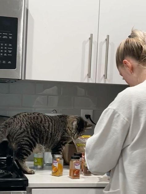 Mom Core Aesthetic, Cat Lady Aesthetic, Coastal Auntie, Cat Mom Aesthetic, Cat And Owner, 2025 Prayer, Cooking Lifestyle, Mom Vibes, Quirky Cooking