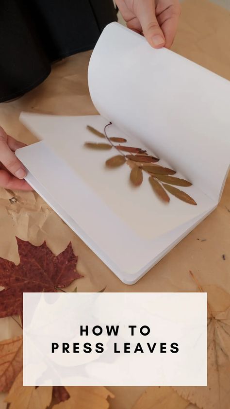 A Guide to Preserving Fall: How to Press Leaves - Rooted Wings Co How To Press Leaves Wax Paper, Press Leaves Diy, How To Press Leaves Diy, Preserved Leaf Art, Drying Leaves For Crafts, Making Art With Leaves, Pressing Fall Leaves, Real Leaves Crafts, Leaf Print Art Diy