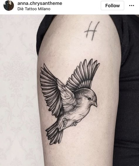 Metaphor Tattoo, Flying Robin Tattoo, Honesty Symbol Tattoo, Inner Bicep Bird Tattoo, Flying Finch Tattoo, Black And White Bird Tattoo, Robin Tattoo Black And White, Black And White Robin Tattoo, Bird Tattoo Black And White