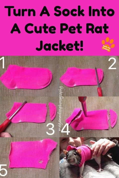 Rat Cage Diy, Diy Rat Toys, Rat Cage Ideas, Pet Rat Cages, Rat Ideas, Rat Cage Accessories, Rat Care, Guinea Pig Diy, Rat Toys