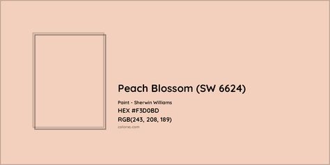 Sherwin Williams Peach Blossom (SW 6624) Paint color codes, similar paints and colors Sherwin Williams Peach Blossom, Sherwin Williams Nearly Peach, Peach Blossom Sherwin Williams, Sherwin Williams Peach, Munsell Color System, Analogous Color Scheme, Paint Color Codes, Rgb Color Codes, Hexadecimal Color