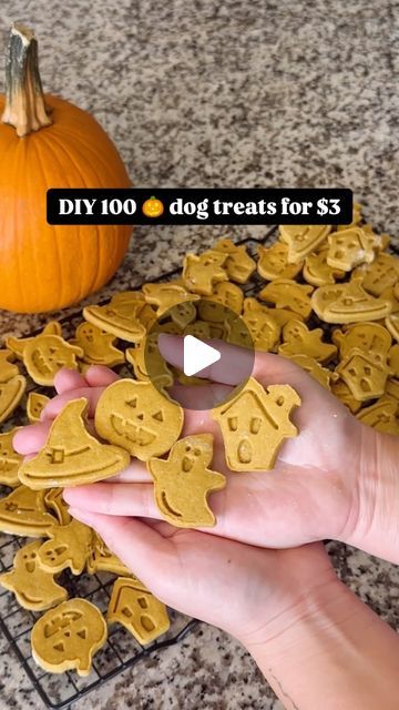 Easy Fall Dog Treats, Pumpkin Coconut Dog Treats, Homemade Dog Treats With Pumpkin, Doggie Desserts, Dog Biscuit Recipe, Halloween Dog Treats, Pet Lifestyle, Pet Snacks, Easy Dog Treat Recipes