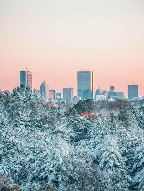 17 Best Things to do in Boston in the Winter (a Local's Guide) Snow View, Maui Itinerary, Things To Do In Boston, To Do In Boston, Trip To Maui, Boston Things To Do, Iphone11 Pro, Road To Hana, Wallpaper Free Download