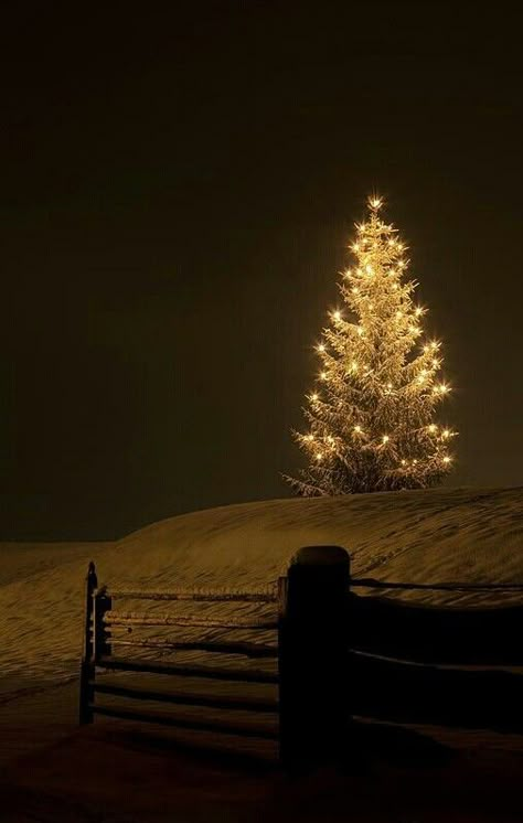 Christmas Tree With Snow, Dark Christmas, Golden Christmas, Tina Fey, Christmas Feeling, Winter Scenery, Christmas Scenes, Christmas Vibes, Noel Christmas