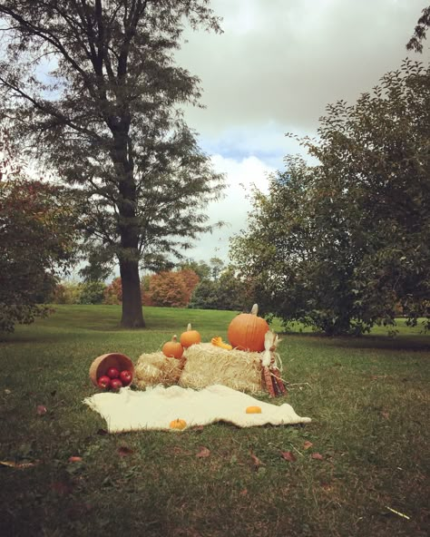 Fall Halloween Mini Sessions, Fall Mini Sessions Hay Bales, Fall Mini Sessions Indoor, Fall Wagon Photoshoot, Thanksgiving Mini Session, Simple Mini Session Ideas, Fall Mini Sessions Set Up Simple, Halloween Mini Session Ideas, Simple Fall Mini Session Ideas