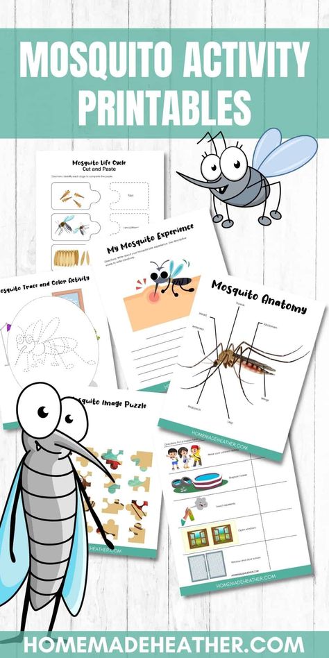 Free Mosquito Activity Printables Mosquito Preschool Activities, Mosquito Craft Preschool, Mosquito Craft, Mosquito Paper Craft, Insects Science Activities, Life Cycle Of A Mosquito, Parts Of An Insect Printable, Mosquito Life Cycle, Unit Studies Homeschool