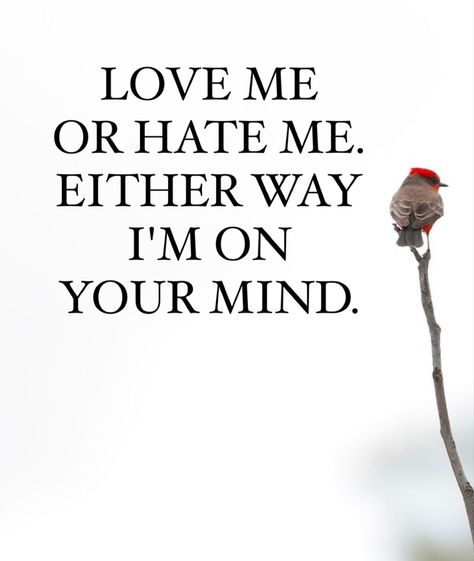 LOVE ME OR HATE ME. EITHER WAY I'M ON YOUR MIND. Without Me, Love Me, Love Quotes, Mindfulness, I Love, Feelings, Collage, Quotes, Pins