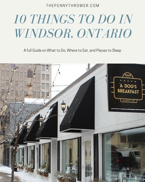 Things To Do in Windsor Ontario: A Complete Guide - The Penny Thrower Windsor Ontario Canada, Perry Sound Ontario, Dog Breakfast, Pinery Provincial Park Ontario, Fort Frances Ontario, Canadian Club Whiskey, Tobermory Ontario, Windsor Ontario, Canada Destinations