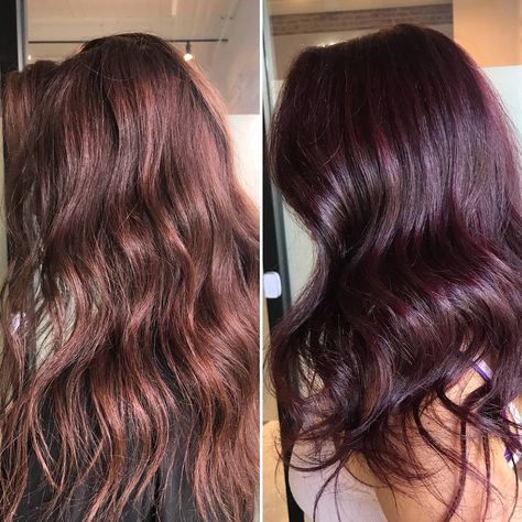 This purple combo is stunning! We used Volterra Amethyst (4VR) on her roots and Rimini Garnet (5RV) on her mid-lengths and ends. 🍇 Rambut Brunette, Brown With Red, Madison Reed, Red Blonde Hair, Wig Blonde, Hair Dyes, Braided Bun Hairstyles, Brunette Balayage Hair, Balayage Brunette