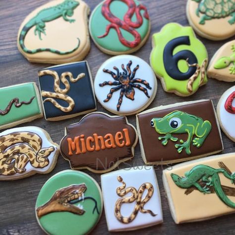 Reptile Cookies, Cookie Pricing, Custom Birthday Cookies, Natural Birthday Party, Snake Birthday, Prehistoric Party, Cookie Birthday Party, First Birthday Cookies, Reptile Party