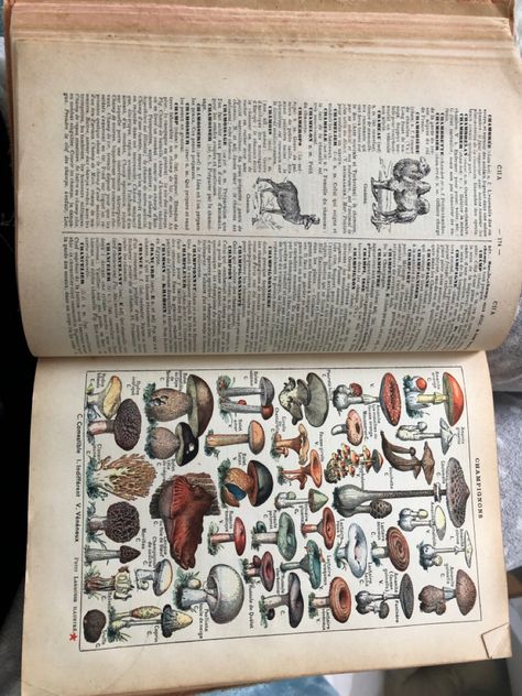 French encyclopedia/dictionary. Stunning old book. Encyclopedia Aesthetic, Cryptid Academia, Encyclopedia Illustration, Old Encyclopedias, Oc Stuff, Aesthetic Roses, Quick Crafts, French Books, Aesthetic Photos