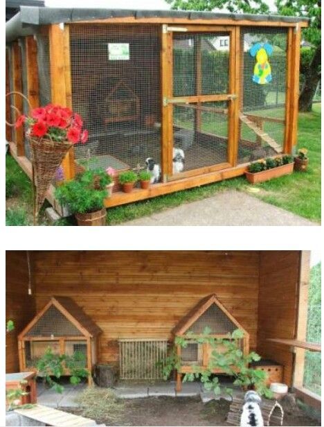 Bunny Sheds, Rabbit Playground, Indoor Rabbit House, Rabbit Shed, Mini Lop Bunnies, Diy Guinea Pig Cage, Rabbit Pen, Outdoor Rabbit Hutch, Rabbit Enclosure