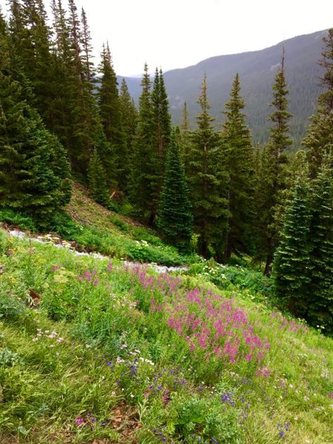 Nederland Colorado, Cross Country Skier, Colorado Summer, Colorado Vacation, Outdoor Store, Colorado Mountains, Mountain Resort, Beautiful Waterfalls, Great Outdoors