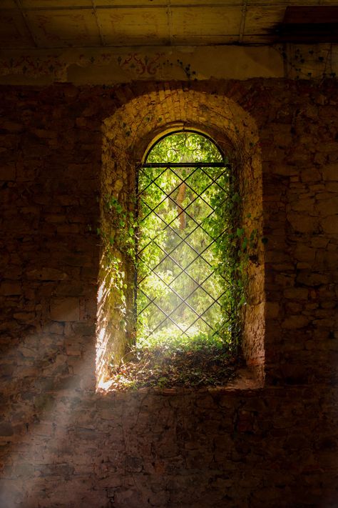 Fairytale window 🧚🦋 Do you know the fairies and their dwellings?  so this exact place was their palace. Old Window Aesthetic, Barred Windows Aesthetic, Dark Manor Aesthetic, Open Window Photography, Dark Academia Window, Light Shining Through Window, Fairytale Castle Aesthetic, Fairytale Window, German Windows