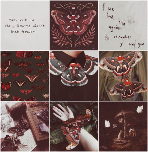 Moth Moodboard, What Is My Aesthetic, Paranormal Aesthetic, Adopt Idea, Color Design Inspiration, Creative Drawing Prompts, Wings Of Fire, Mood Board Inspiration, Mood Board Design