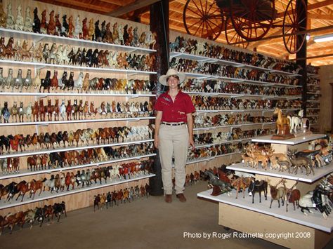 Model horse collection at the short-lived Model Horse Museum. Collection has since been sold. Photo by Roger Robinette. This is so disappointing that it's not there any more. I would've gone to see it, being a collector myself. Collecta Horses, Breyer Horse Storage, Model Horse Diorama, Breyer Horse Display Shelves, Model Horse Performance, Horse Themed Bedrooms, Anime Puppy, Toy Horse Stable, Breyer Collection