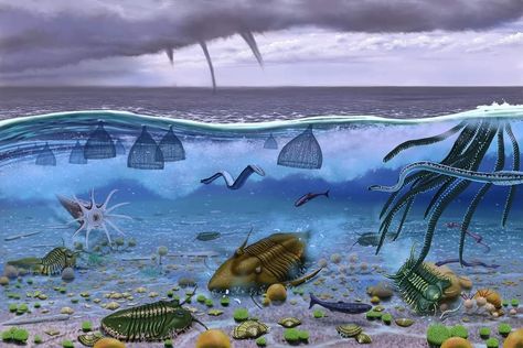 Shallow stormy seas of the Ordovician period 450 MYA Our Lives Under The Sea Aesthetic, Deep Sea Environment, Sea Life Pollution Art, Plenty Of Fish In The Sea, Cambrian Period Animals, Stormy Seas, Ordovician Period, Stormy Sea, Sealife