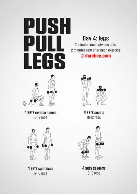 Push Pull Legs Routine, Push Pull Legs Workout, Push Day Workout, Pull Day Workout, Push Pull Legs, Full Body Dumbbell Workout, Workout Program Gym, Gym Workout Plan For Women, Push Day