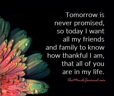 Tomorrow is never promised - https://themindsjournal.com/tomorrow-is-never-promised/ Birthday Wishes In Heaven, Tomorrow Quotes, Tomorrow Is Never Promised, Lone Wolf Quotes, Promise Quotes, Tomorrow Is Not Promised, Drake Quotes, Appreciate Life Quotes, The Minds Journal