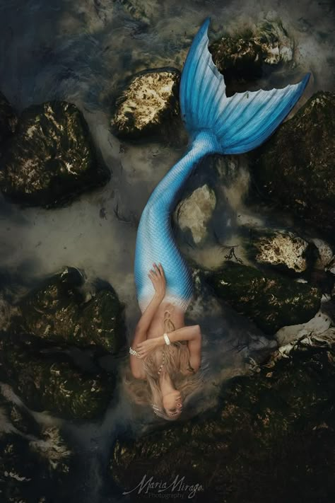 Maria Mirage Photography | Mermaid Tales Mirage Photography, Mermaid Tales, Realistic Mermaid, Mermaid Photography, Mermaid Photos, Fantasy Mermaids, Mermaid Lagoon, Water Nymphs, Real Mermaids