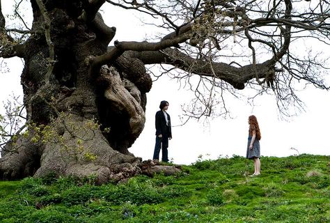 Romantic Moment of the Week: Snape and Lily – “Always” Snape And Lily, The Language Of Flowers, The Deathly Hallows, Language Of Flowers, Severus Snape, Deathly Hallows, Wizarding World, The Tree, Harry Potter