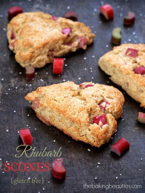 Gluten Free Rhubarb Scones Gluten Free Rhubarb Recipes, Rhubarb Ideas, Gluten Free Rhubarb, Gf Biscuits, Rhubarb Scones, Aip Baking, Gluten Free Scones, Gluten Free Pastry, Gf Breakfast