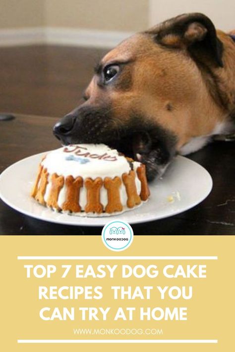 Dec 9, 2020 - Spoil your pet with one of our homemade dog cake recipes. There are a plethora of dog cake ideas that you can try out at home for your puppy’s special day. Home Made Dog Cake Recipes, Diy Dog Cakes For Dogs, Diy Dog Cake Recipe Easy, How To Make A Dog Cake, Cakes For Dogs Recipe, Homemade Dog Cake Easy, Dog Cake Recipe Easy, Dog Cakes For Dogs, Peanut Butter Dog Cake