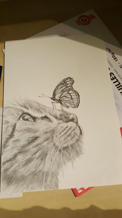 Cat With Butterfly Drawing, Cat With Butterfly On Nose Drawing, Cat And Butterfly Drawing, Cat With Butterfly On Nose, Cat With Butterfly, Car Pinstriping, Butterfly Sketch, Nose Drawing, Cat Sketch